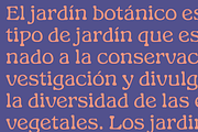 GARDINO - Art Nouveau Typeface, a Serif Font by Nasir Udin (Thumbnail 11 of 18)
