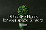 Skeina Elegant Sans Serif, a Sans Serif Font by MJtypefoundry (Thumbnail 9 of 12)