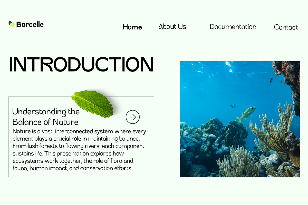 Caitog – Sans Font Family, a Sans Serif Font by NDNL Studio (Photo 4 of 10)