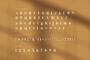 Rilken Elegant Editorial Serif Font, a Serif Font by Graphicxell (Thumbnail 7 of 8)