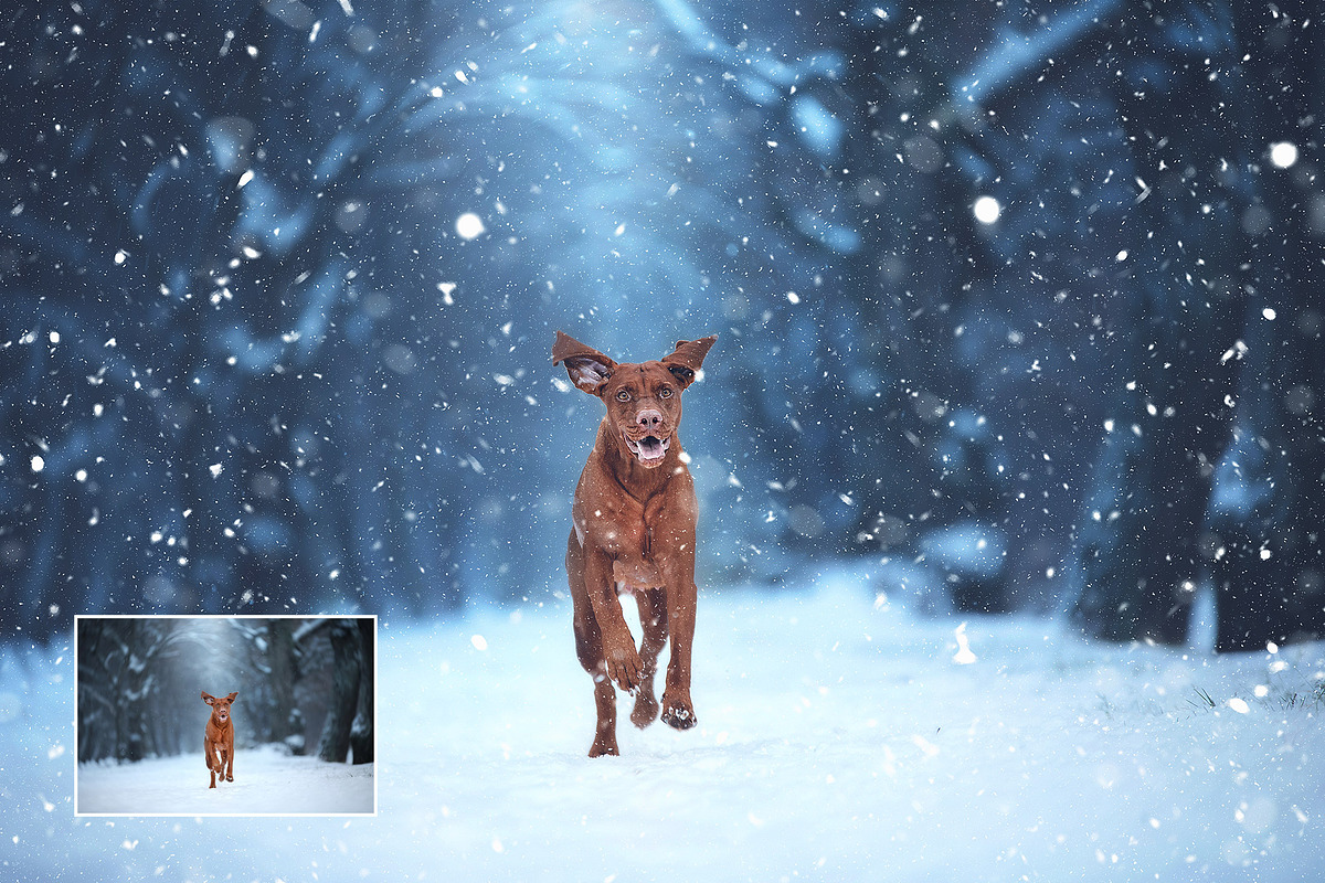 Let It Snow! Photoshop Action, an Action Add-On by Uplift Actions (Photo 3 of 14)