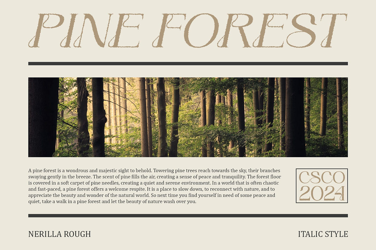 Nerilla Rough, a Serif Font by Craft Supply Co. (Photo 2 of 8)