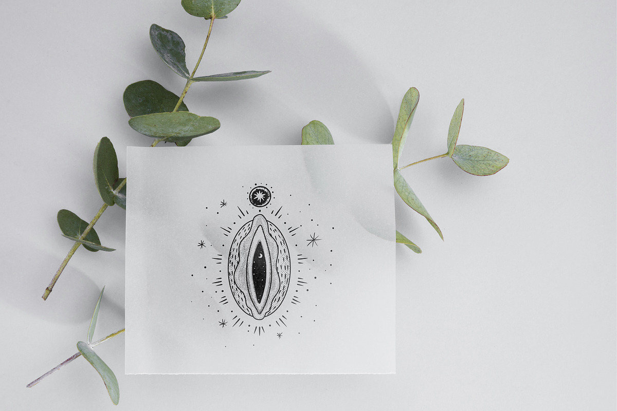 Female reproductive system. Vagina, a Healthcare Illustration by Chikovnaya (Photo 5 of 7)