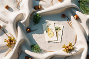 Vintage Forest Watercolor Collection, an Object Illustration by ArtMaslyana (Thumbnail 3 of 15)