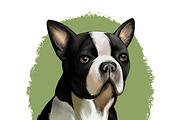 Most Popular Dog Breeds Pet Portrait, an Animal Illustration by Dneprstock (Thumbnail 5 of 23)