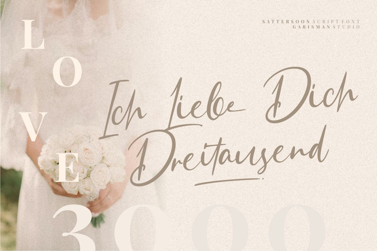 Sattersoon - Modern Script Font, a Script Font by Garisman Std (Photo 6 of 10)