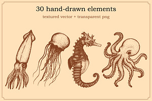 Hand Drawn Sea Life Elements