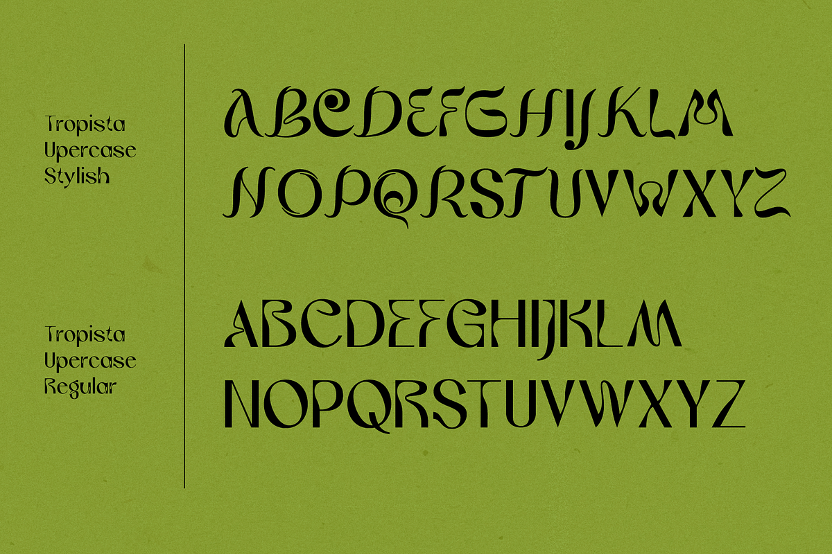 Tropista Tropical Concept, a Font by AuthenType (Photo 5 of 8)