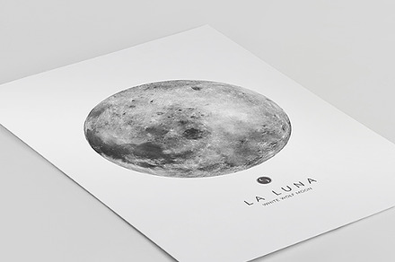 8x10 Poster Mockup, 4x5 ratio, a Print Template by The White Space Co.