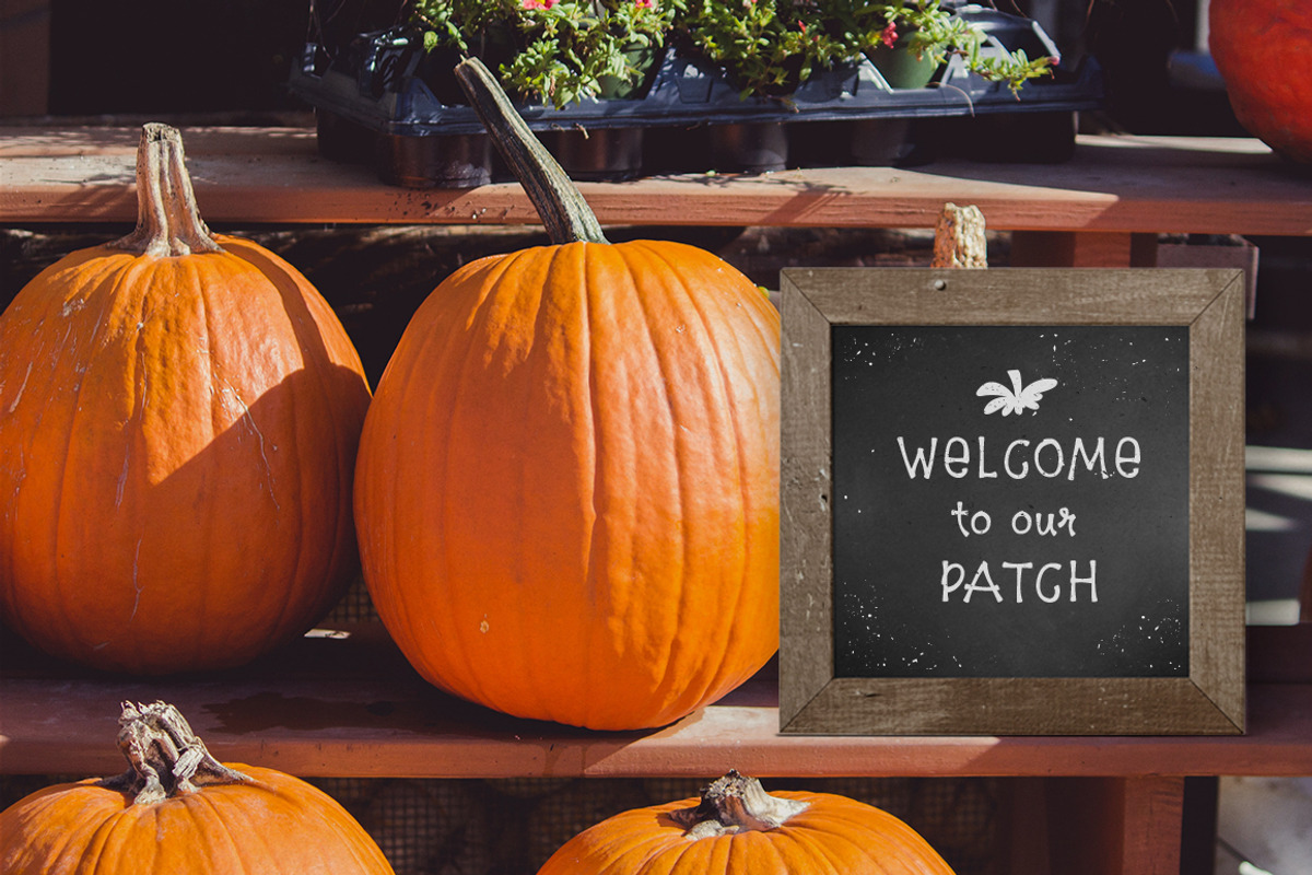 5$ Pumpkin Farm Font preview 8