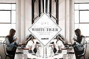 Bright white blogger preset, an Action Add-On by studio25 (Thumbnail 3 of 7)