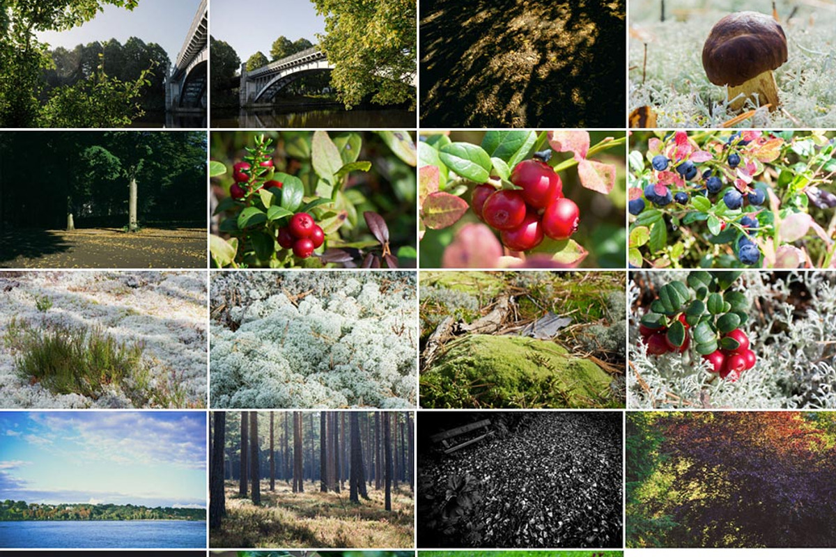Autumn – 48 HQ Photos, a Nature Photo by Barn Images (Photo 2 of 2)
