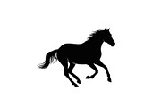 Black Horse Silhouette Bundle, an Illustration by jahid234 (Thumbnail 8 of 31)