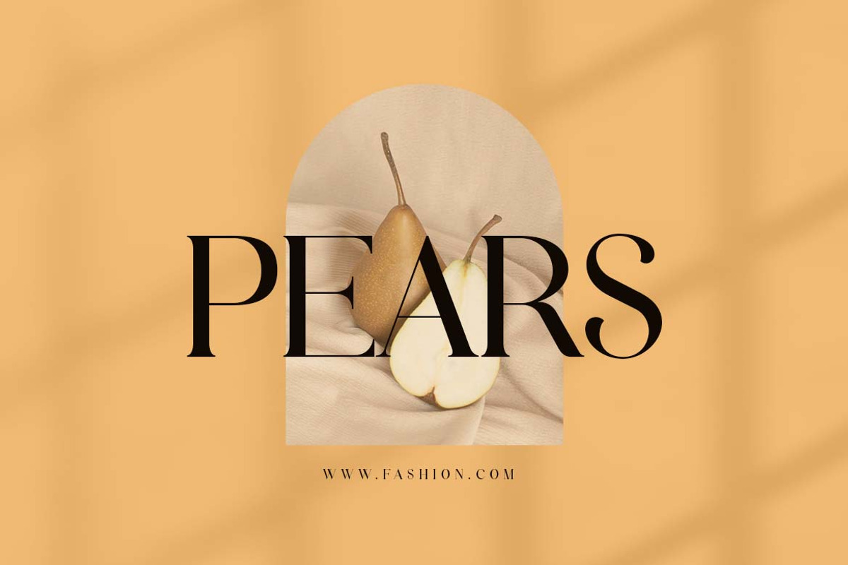 Modest Steady Display Serif Font, a Serif Font by UICreative (Photo 5 of 13)