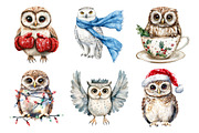 Christmas Owl Sublimation Clipart, a Seasonal Illustration by Daily.Designs (Thumbnail 5 of 5)