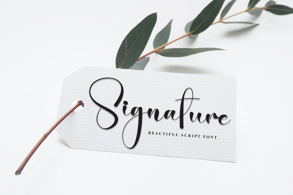 | Script Font, a Handwritten Font by Scratchones (Photo 5 of 9)