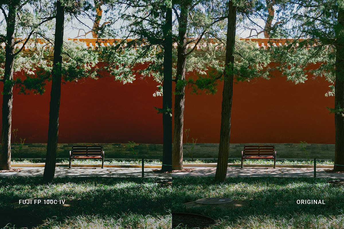 Fuji FP 100C IV, a Preset Add-On by colorituals (Photo 7 of 9)