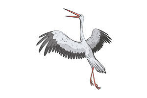 Crane bird in realistic style, an Animal Illustration by Things for designers