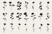 Botanical Flower Silhouettes Set, an Object Illustration by NatalieArtShop (Thumbnail 4 of 12)