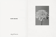 Vintage Scan Borders And Textures⸻3, a Texture Graphic by Studio Viita (Thumbnail 5 of 11)