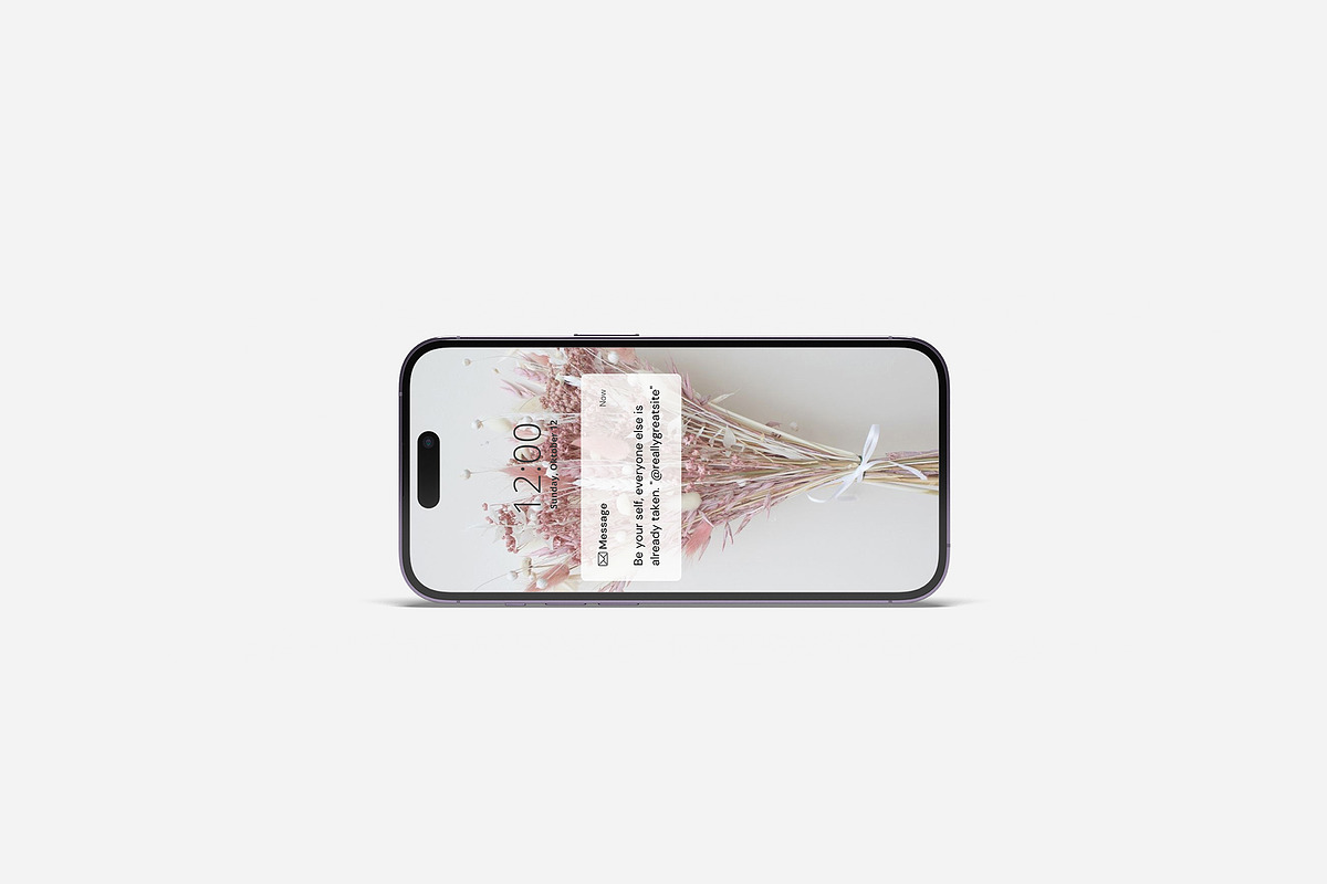 iPhone 14 Pro Mockup, an iPhone Mockup by zuhraabdullah (Photo 9 of 28)
