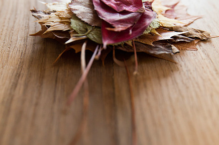 Autumn Reflexion preview 6
