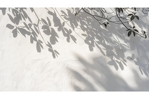 A white wall with an abstract shadow, a Background Photo by ZinetroN