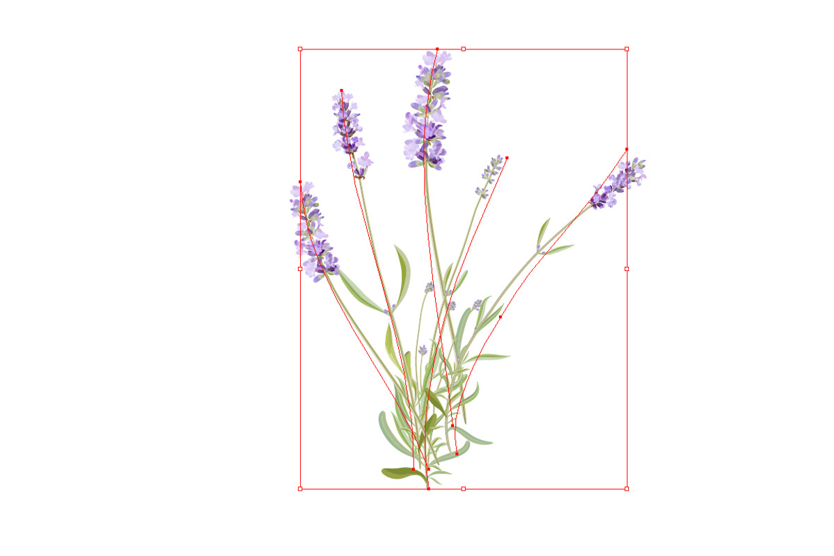 Vector object brushes. Lavender preview 3