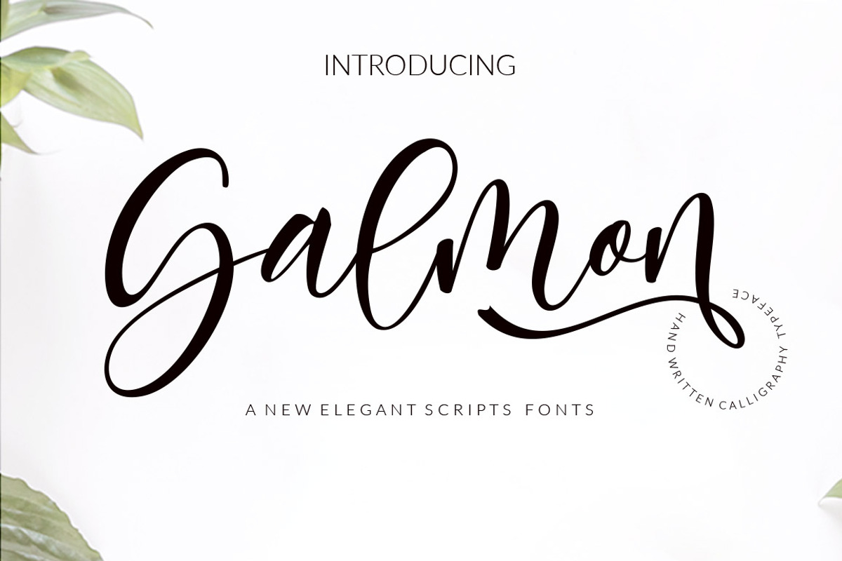 Salmon