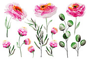 Tender peony patterns and elements, a Decorative Illustration by SuperNata (Thumbnail 2 of 5)
