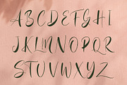 Alerquisant - Naturally Yours, a Script Font by HypeWorksCo (Thumbnail 16 of 18)