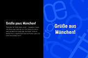 FT Neue Buddy - 5 Styles Sans Serif, a Sans Serif Font by fuzztype (Thumbnail 9 of 15)