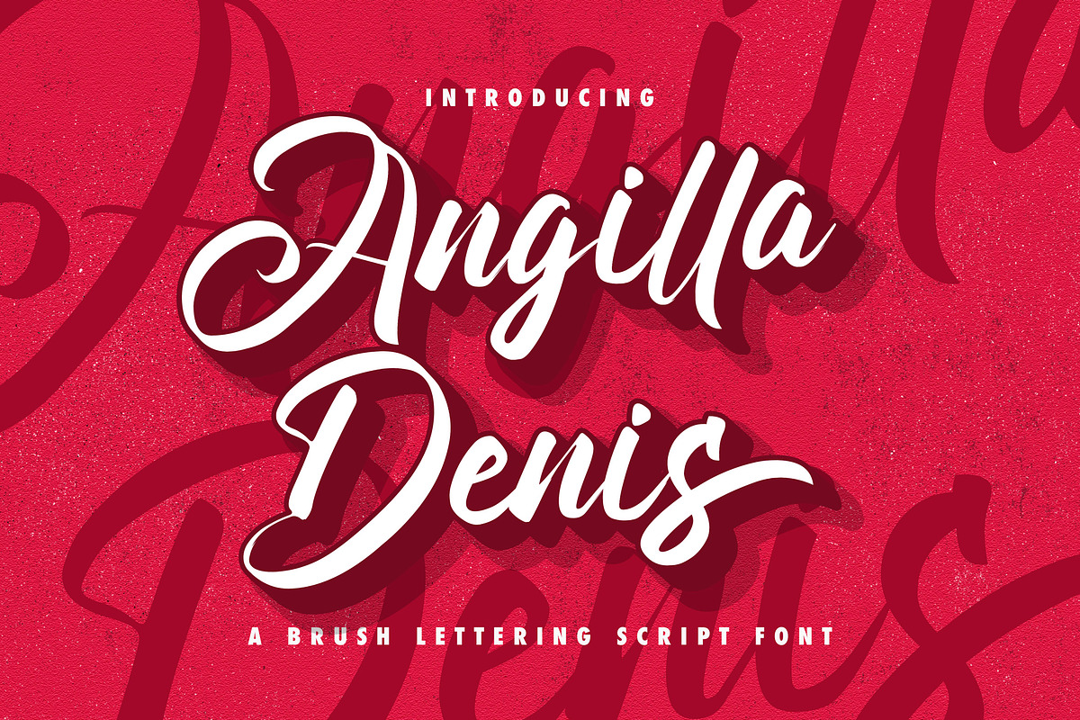 Angilla Denis - Brush Script Font, a Script Font by StringLabs (Photo 1 of 13)