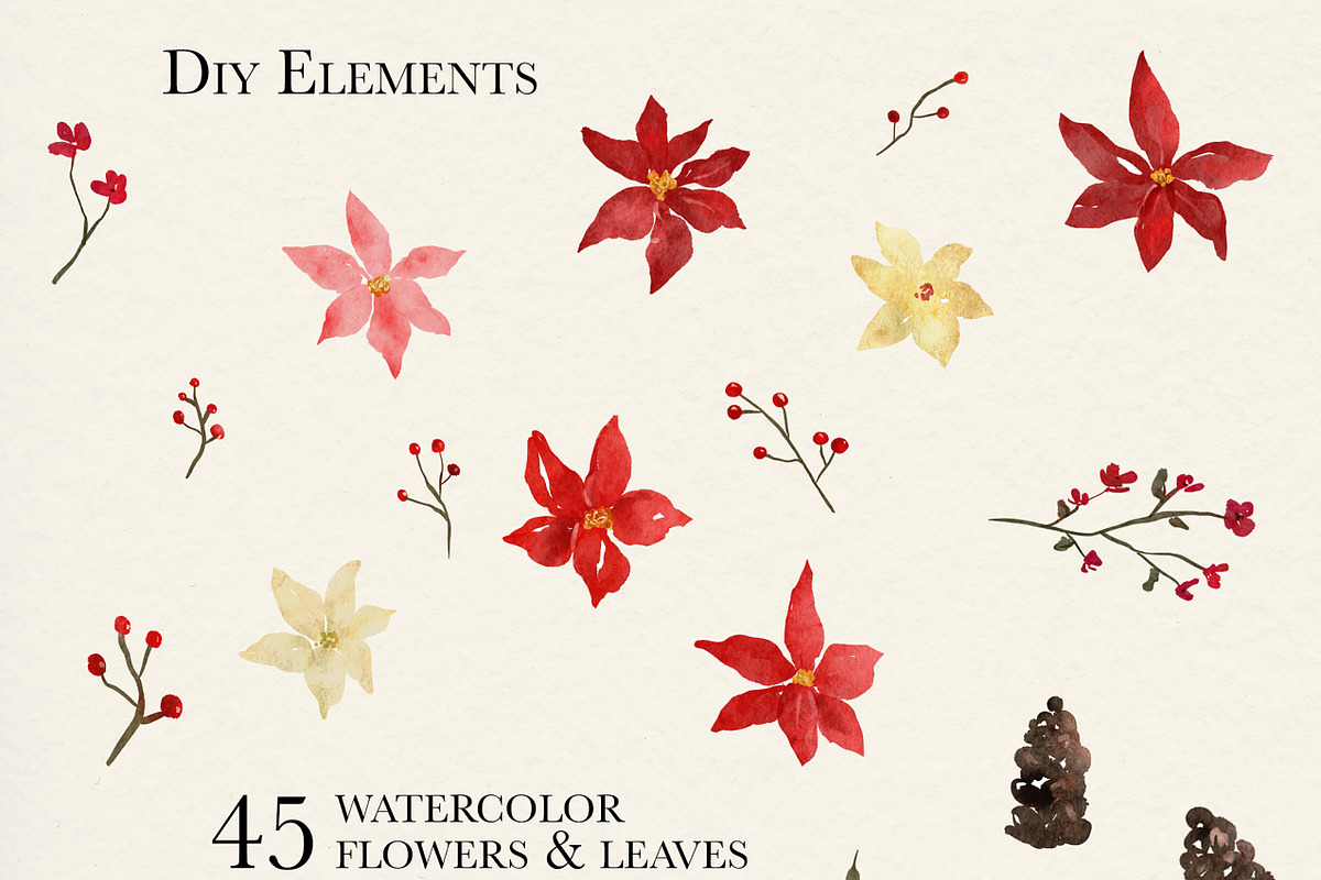 Watercolor Christmas Poinsettia, an Illustration by Backyard Rose (Photo 2 of 11)