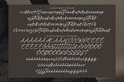 Coastal Dreams, a Script Font by operatype.co (Thumbnail 14 of 15)
