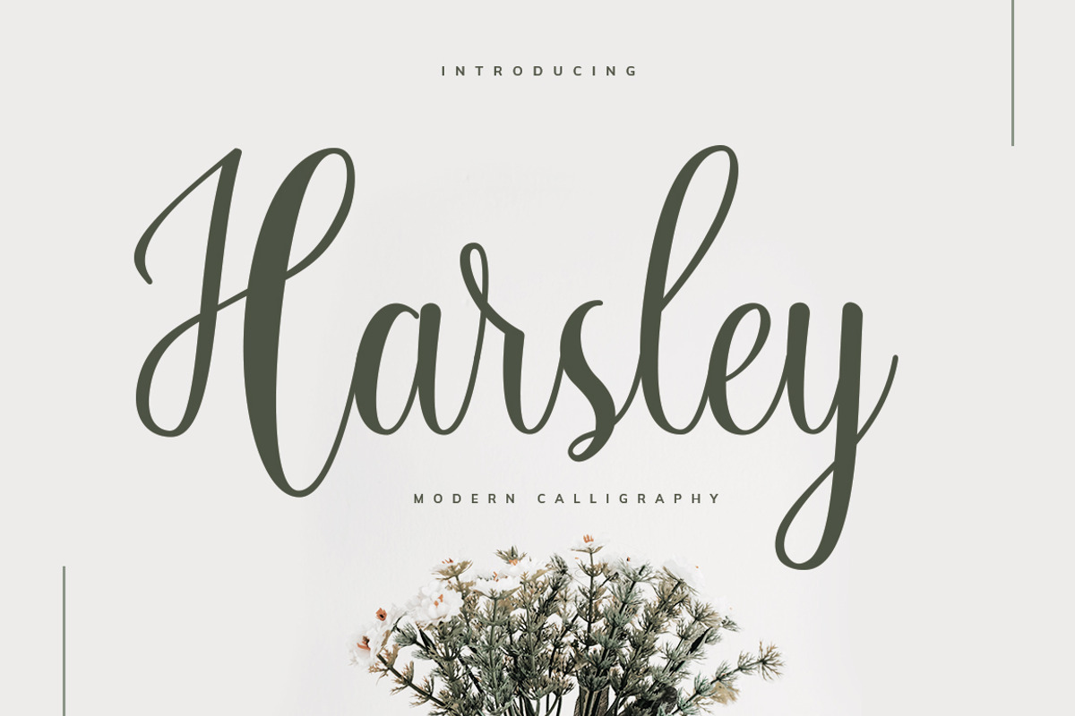 Harsley, a Script Font by sizimon (Photo 1 of 6)