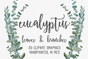 Eucalyptus Greenery Clipart Graphics