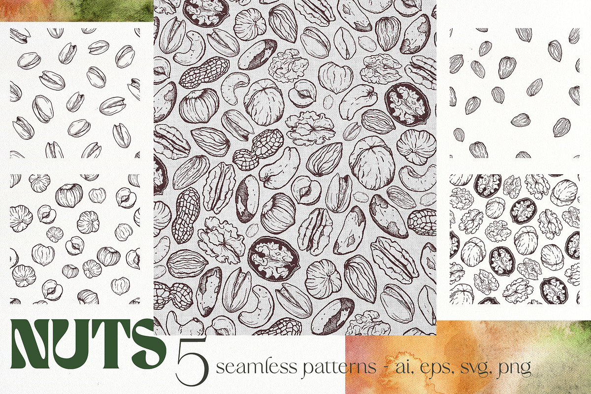NUTS vector nut illustration doodle