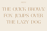 Aelyn - Ligature Serif Font, a Serif Font by Surplus Type Co (Thumbnail 3 of 12)