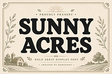 Sunny Acres - Bold Serif Font