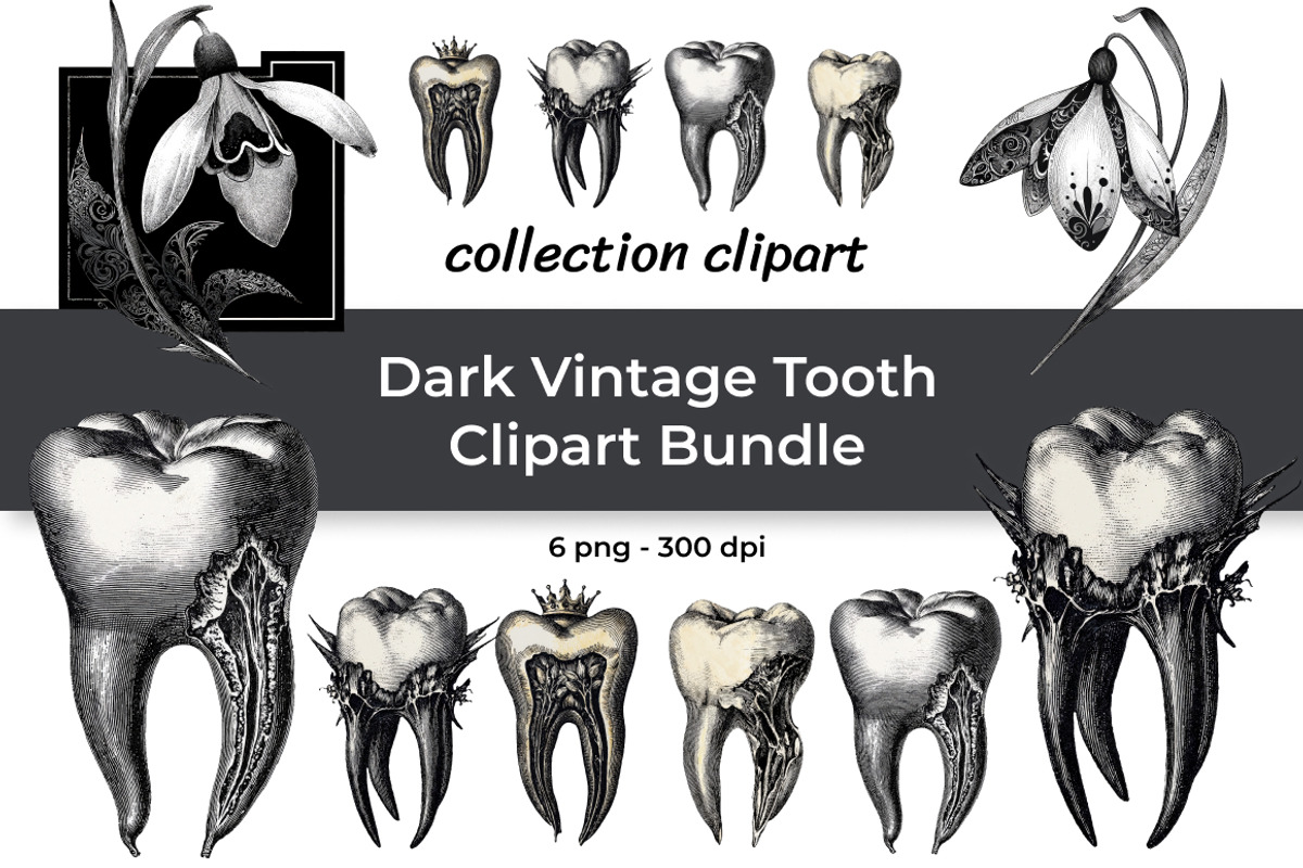 Dark Vintage Tooth Clipart Bundle, a Healthcare Illustration by InkyQueenArt (Photo 1 of 5)