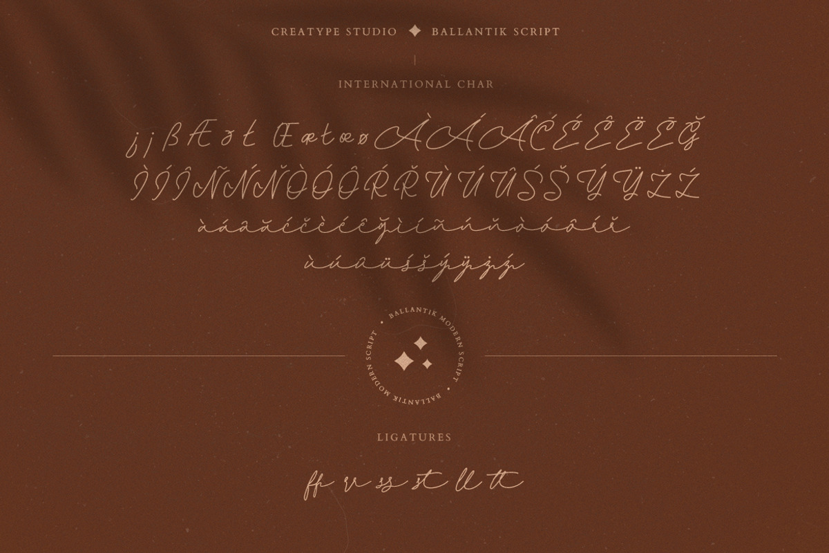 Ballantik Modern Monoline Script, a Script Font by Creatype Studio (Photo 9 of 9)