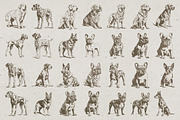 215 Dog Illustrations, an Animal Illustration by Nocturnal Wolf (Thumbnail 11 of 14)