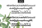 Chik Pik, a Script Font by Larin Type Co. (Thumbnail 6 of 6)