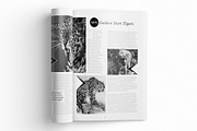 Magazine Template InDesign 13, a Magazine Template by Love Graphic Design (Thumbnail 6 of 20)