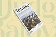 Dudga Baloval Elegant Serif Font, a Serif Font by timelesstype.co (Thumbnail 6 of 20)