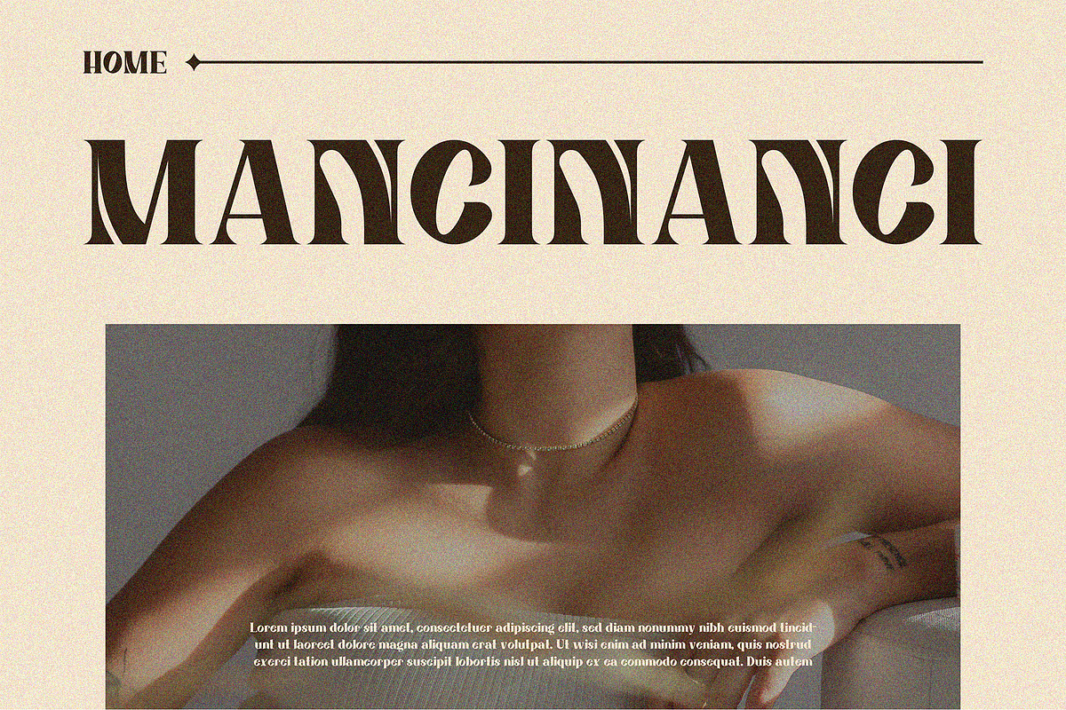 ManciNanci - Serif Font, a Serif Font by Boril Std (Photo 7 of 12)