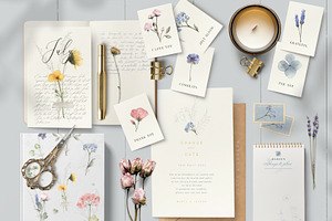 Pressed Floral Watercolor Collection