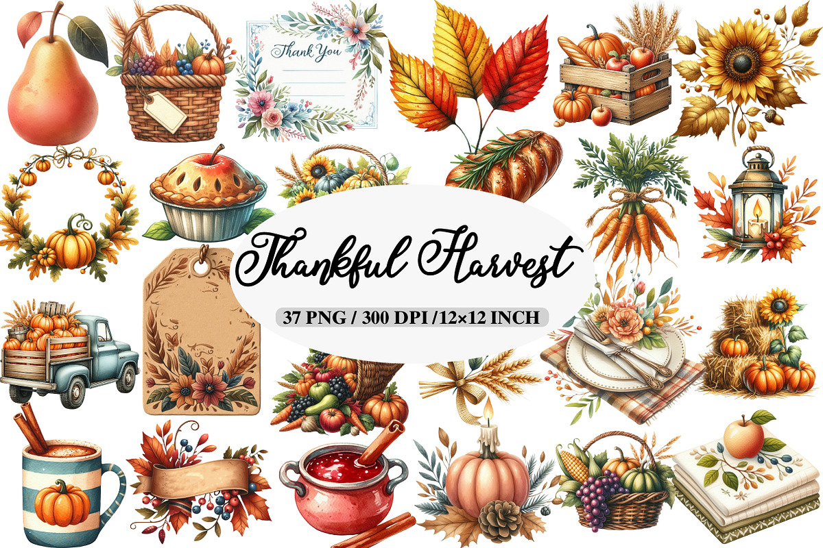 Watercolor Thankful Harvest Clipart, an Illustration by Daily.Designs (Photo 1 of 5)