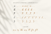 Alyusa - a modern calligraphy script, a Script Font by Siwox Studios (Thumbnail 8 of 9)